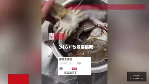 国足后防线告急蒋圣龙伤病成疑，世预赛前景堪忧：后防减员危机